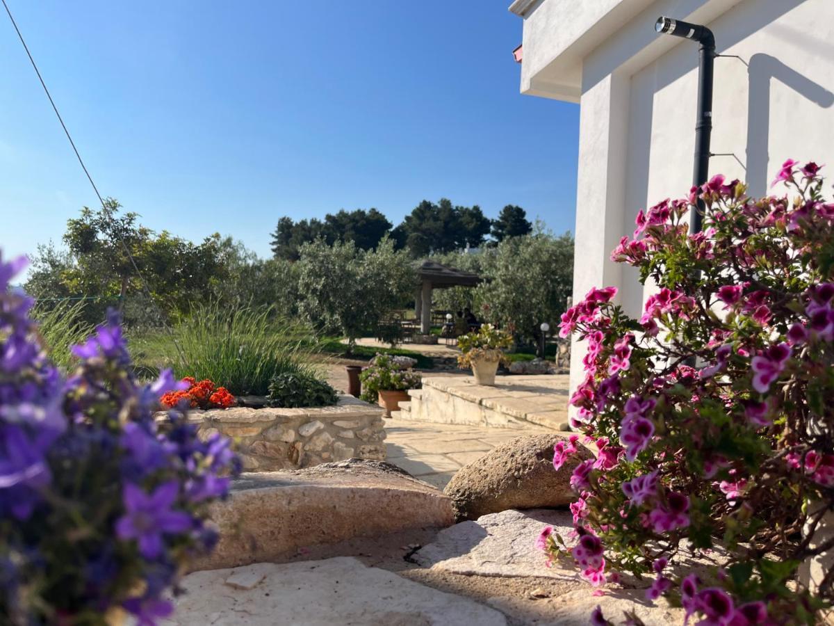 B&B Le Cicale Vieste Buitenkant foto