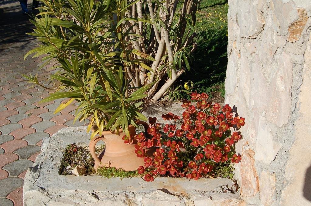 B&B Le Cicale Vieste Buitenkant foto